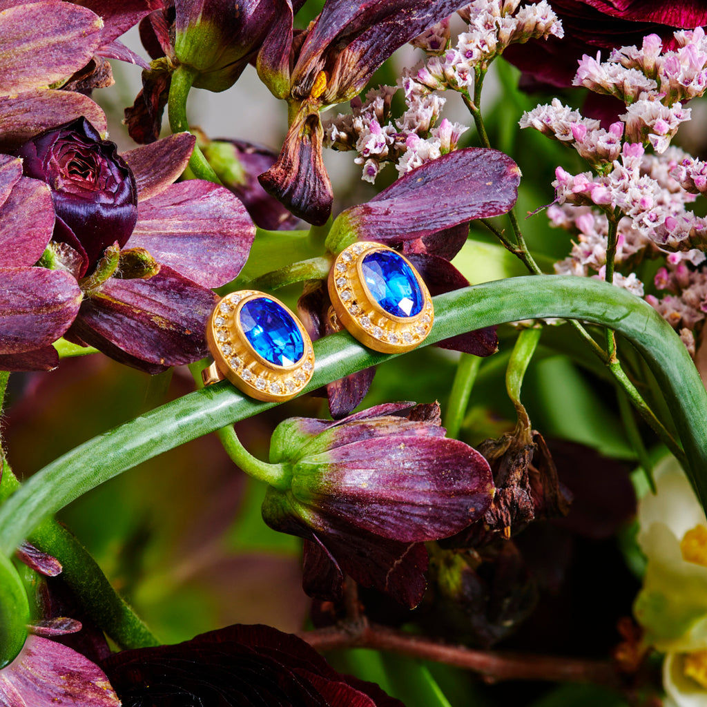 Shimmer Sahara Oval Ceylon Blue Sapphire Earrings in 20K Peach Gold Reinstein Ross Goldsmiths