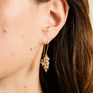 Bacchus Grey Diamond Earrings in 20K Peach Gold Reinstein Ross Goldsmiths