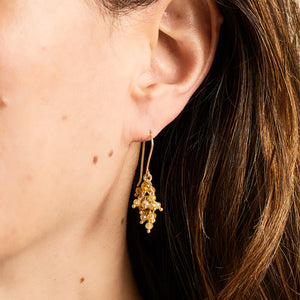 Bacchus Yellow Diamond Earrings in 20K Peach Gold Reinstein Ross Goldsmiths